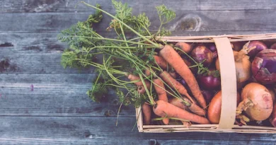 How To Grow Your Own Salad