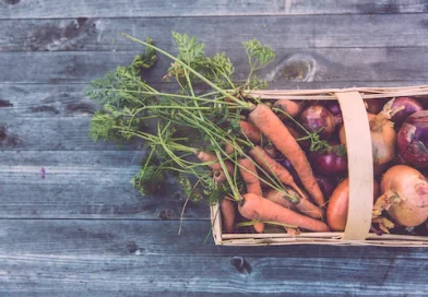 How To Grow Your Own Salad